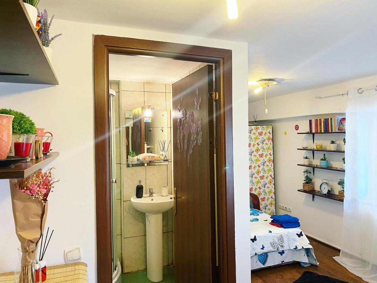 ブカレストCasa Anduアパートメント エクステリア 写真