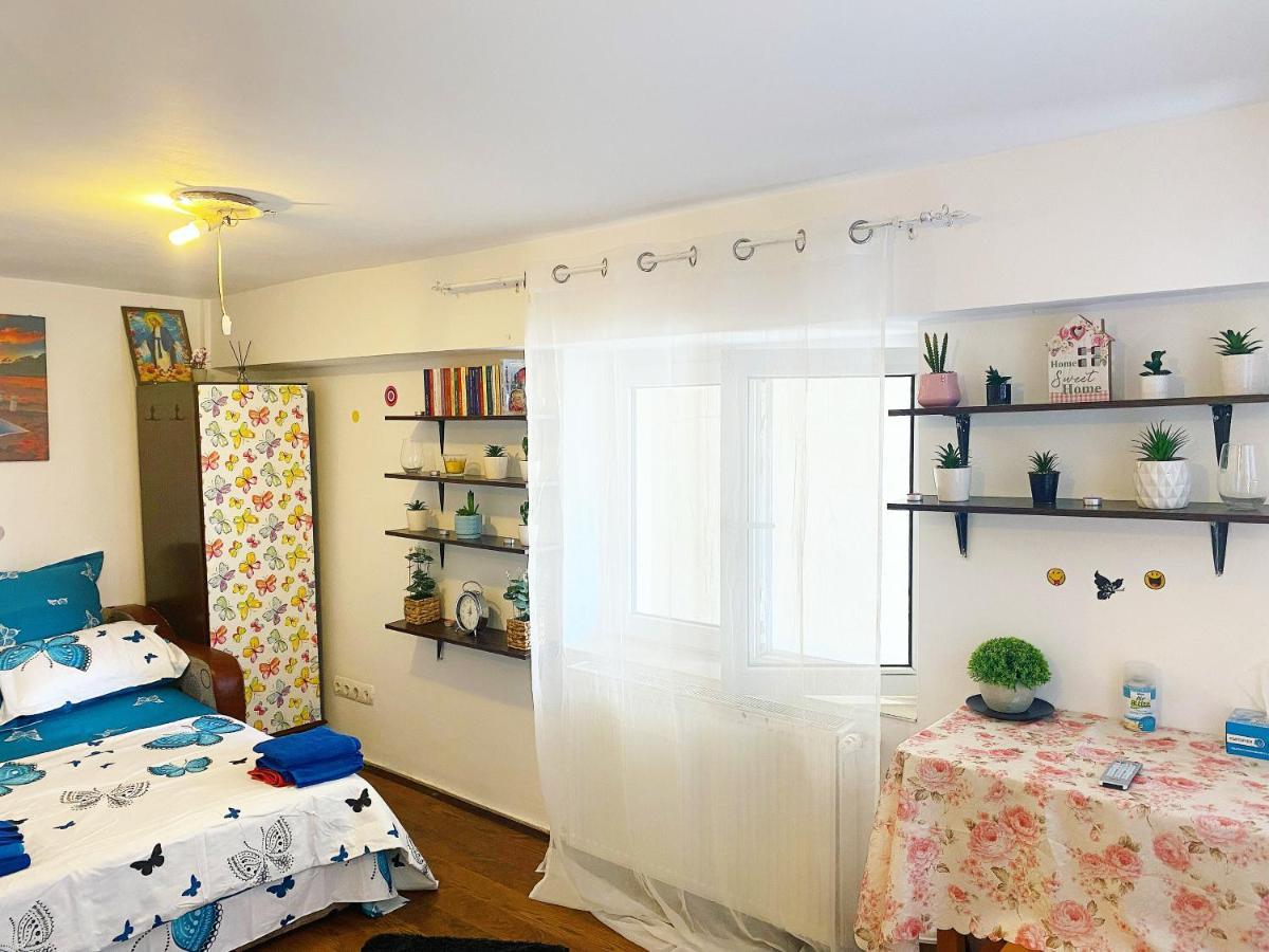 ブカレストCasa Anduアパートメント エクステリア 写真