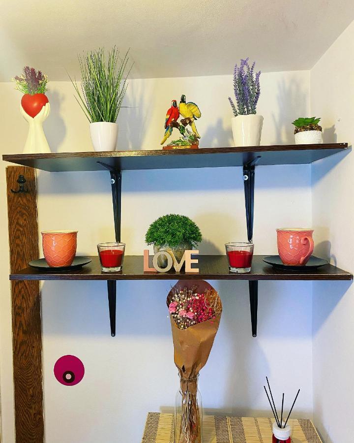 ブカレストCasa Anduアパートメント エクステリア 写真